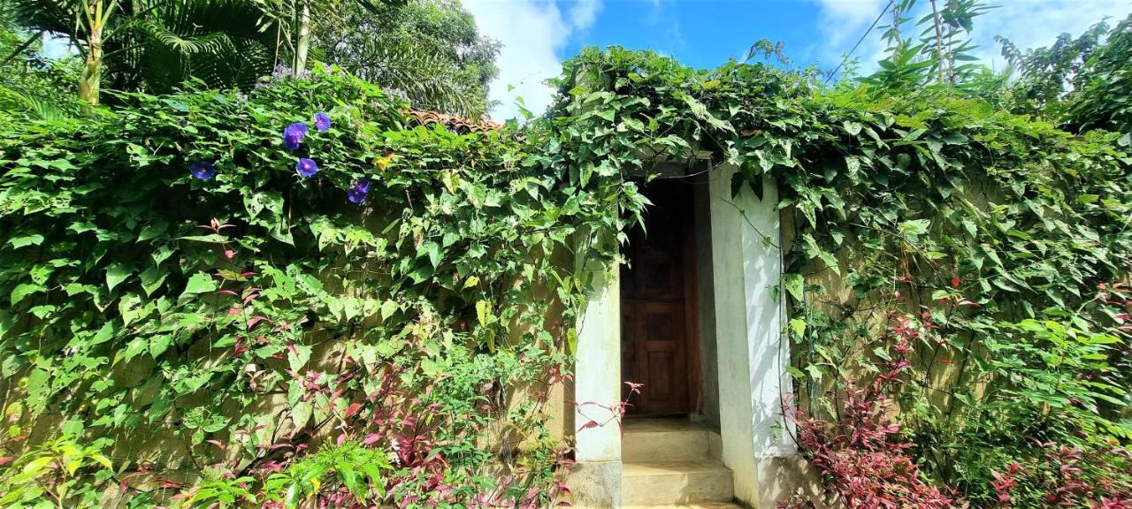Sand Dollar House, Hiriketiya Dikwella Dış mekan fotoğraf