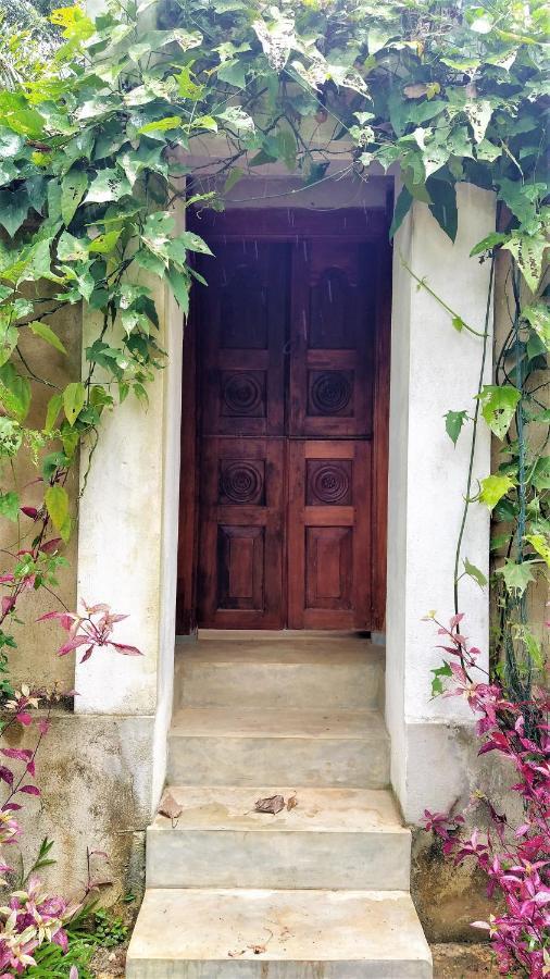 Sand Dollar House, Hiriketiya Dikwella Dış mekan fotoğraf